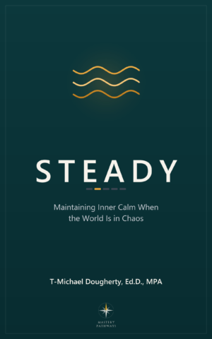 Steady book cover - Maintaining inner calm when the world is in chaos
